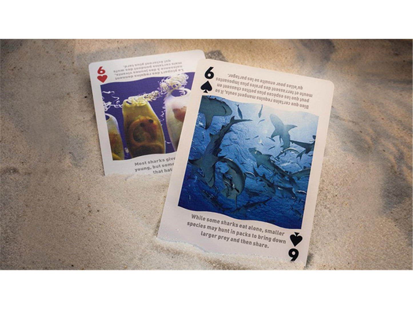 Bicycle Sharks Playing Cards by US Playing Card