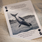 Bicycle Sharks Playing Cards by US Playing Card