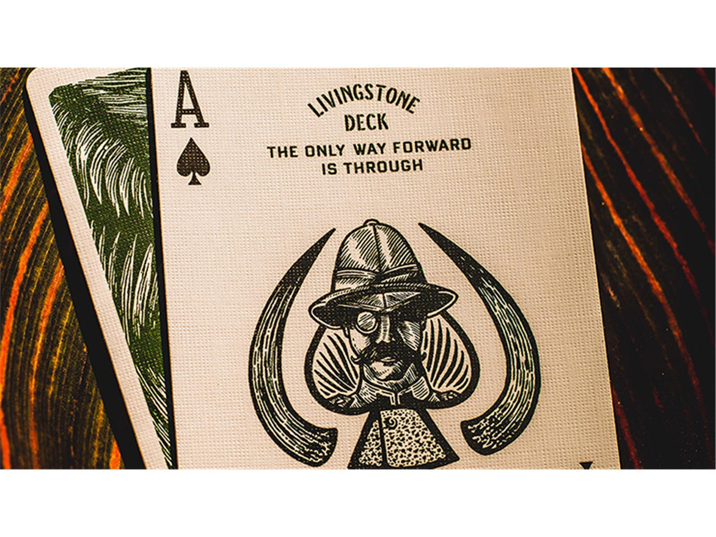 Deluxe Edition Livingstone Playing Cards by Pure Imagination Projects