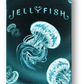 Jellyfish Playing Cards