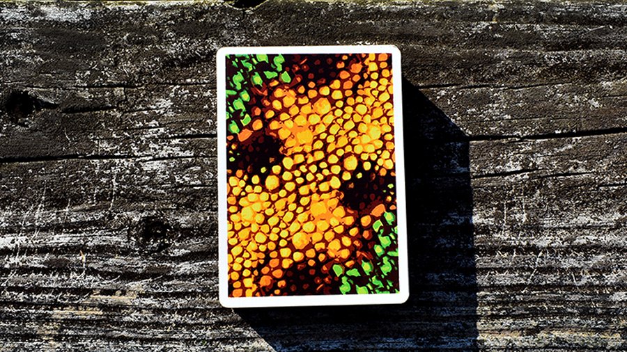 Kameleon (Yellow) Playing Cards