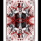 Karnival Assassin Bicycle Playing Cards (LTD ED FOIL CASE)