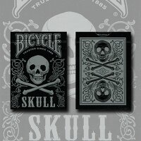 Bicycle Skull Metallic (Silver)