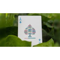 Aedijux Playing Cards