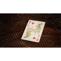 Tucan Playing Cards (Cinnamon Back)