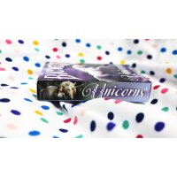 Anne Stokes Unicorns (Purple) Cards by USPCC